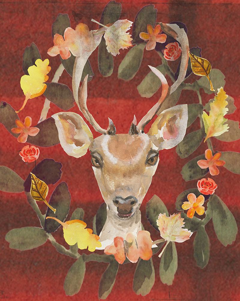 Oh Deer